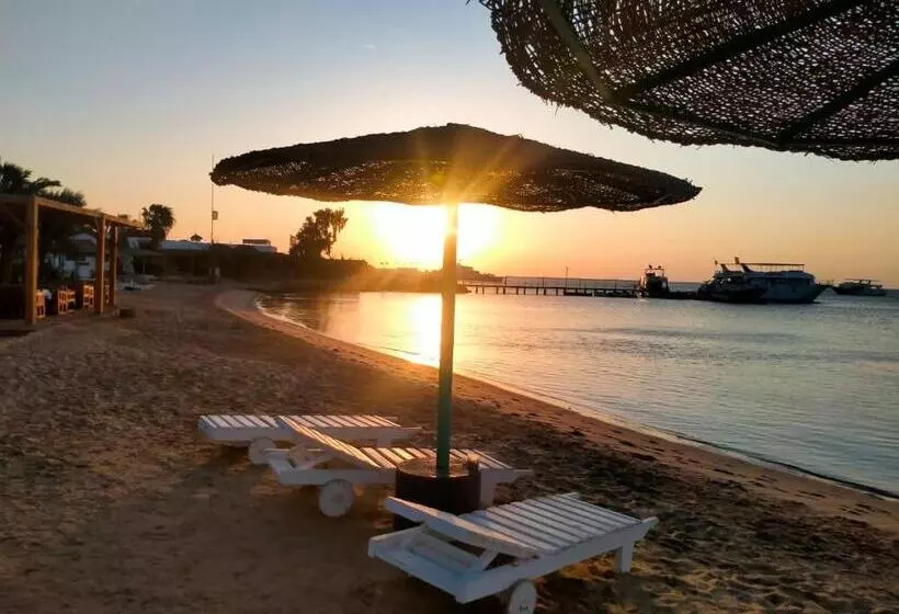 Sun Beach Hotel Safaga