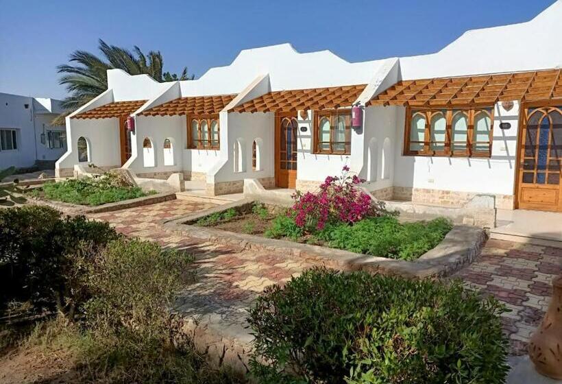 Sun Beach Hotel Safaga