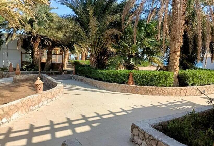 Sun Beach Hotel Safaga