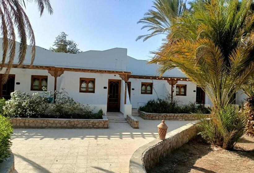 Sun Beach Hotel Safaga