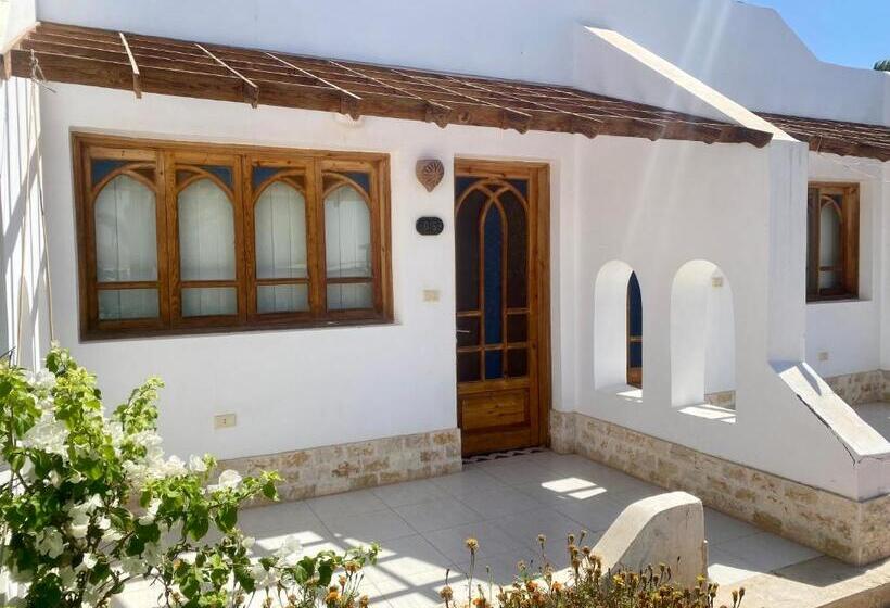 Sun Beach Hotel Safaga