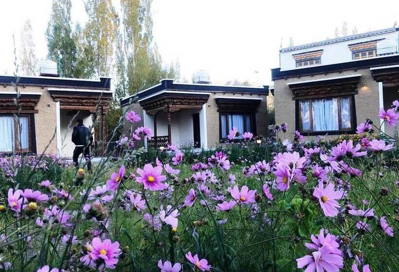 Hotel Royal Soma Resort