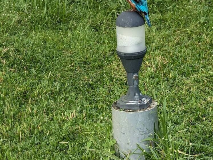 بنسيون Room In Villa   The Villa Close To Surf Beach And Galle Fort