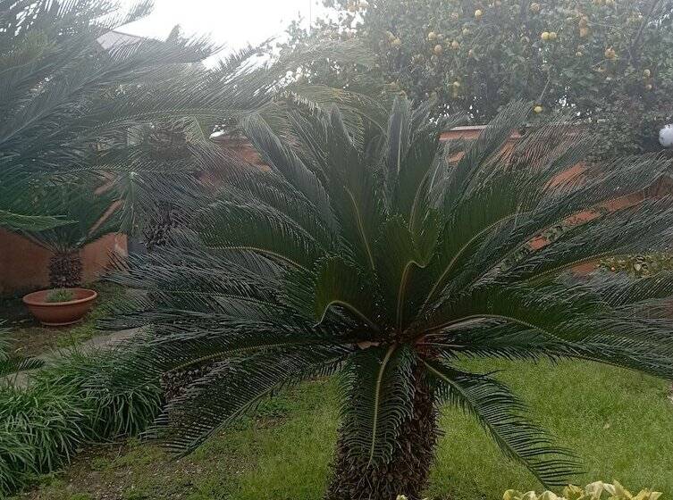 Pensionat Villa Chiara B&b