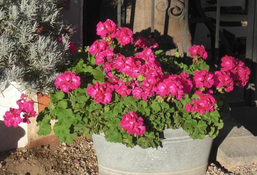 تختخواب و صبحانه Garni Unterhaslerhof