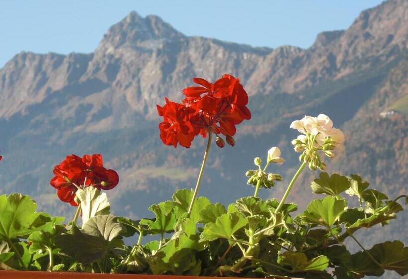 تختخواب و صبحانه Garni Unterhaslerhof