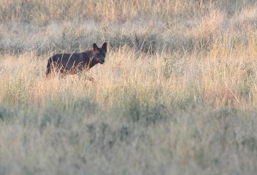 호텔 Casa Da Portela