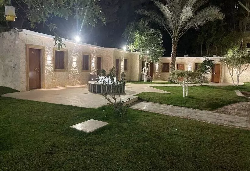 هتل Turquoise Pyramids Palace