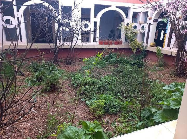 بنسيون Assounfou