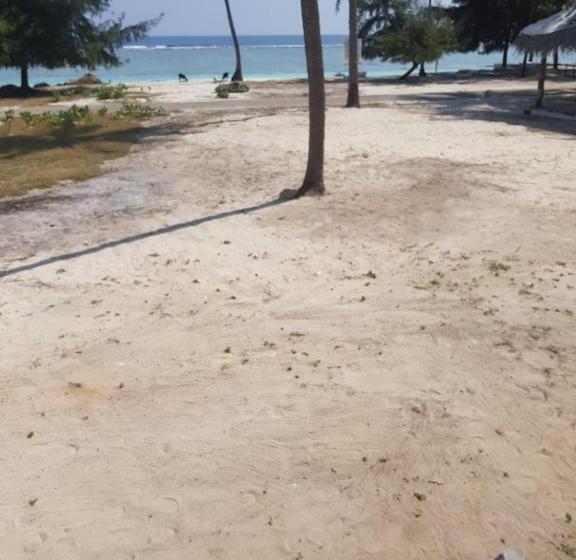 Lomakeskus Flyzone Seashell Cottages Only For Indian Nationals With Valid Entry Permit
