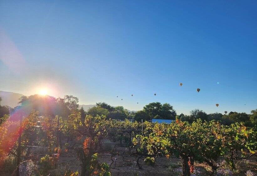 مبيت وإفطار Red Mountain Manor Vineyard And Guesthouse