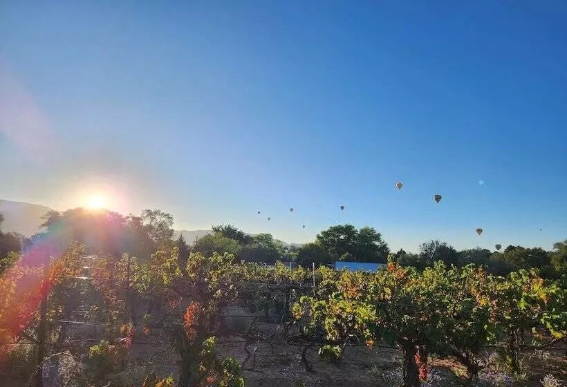 Aamiaismajoitus (B&B) Red Mountain Manor Vineyard And Guesthouse