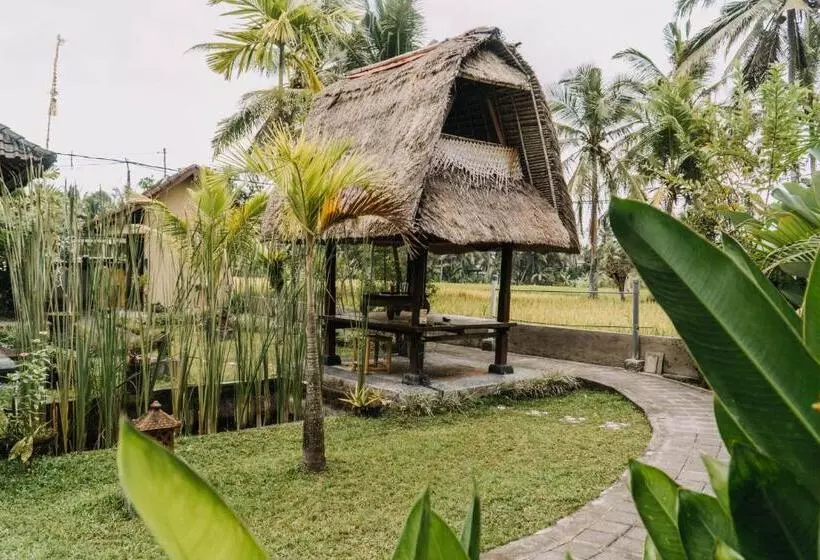 Aamiaismajoitus (B&B) Ubud Shanti Rice Field House By Supala