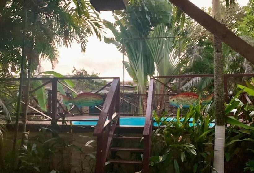 مسافرخانه Vampayá Panamá