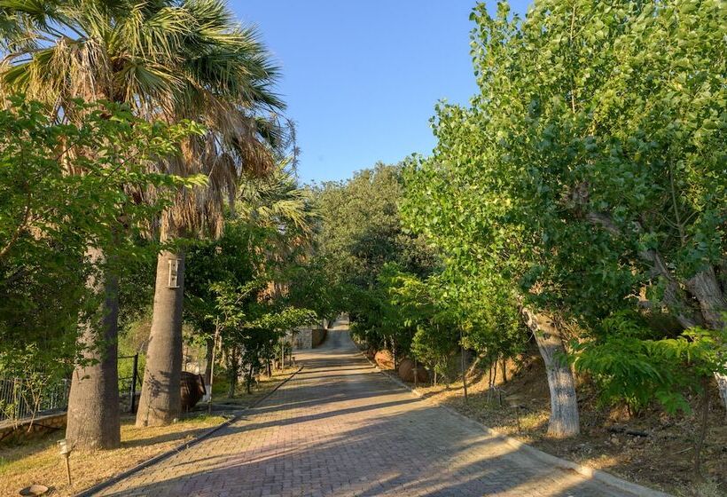 酒店 Costa Avithos