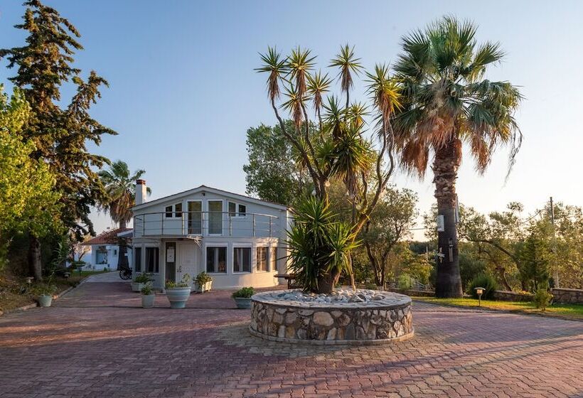 酒店 Costa Avithos