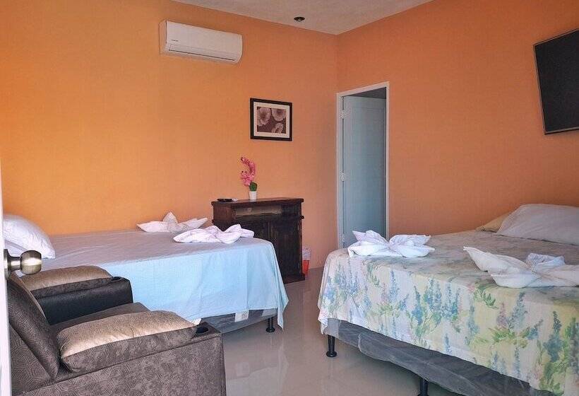 هتل Ebenezer El Paredon