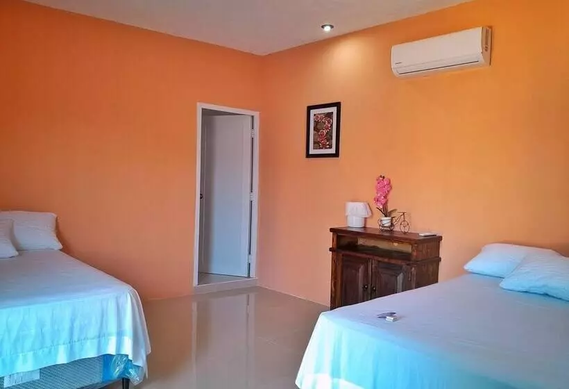 هتل Ebenezer El Paredon