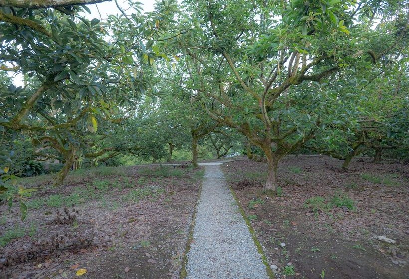 酒店 Palta Eco Haven