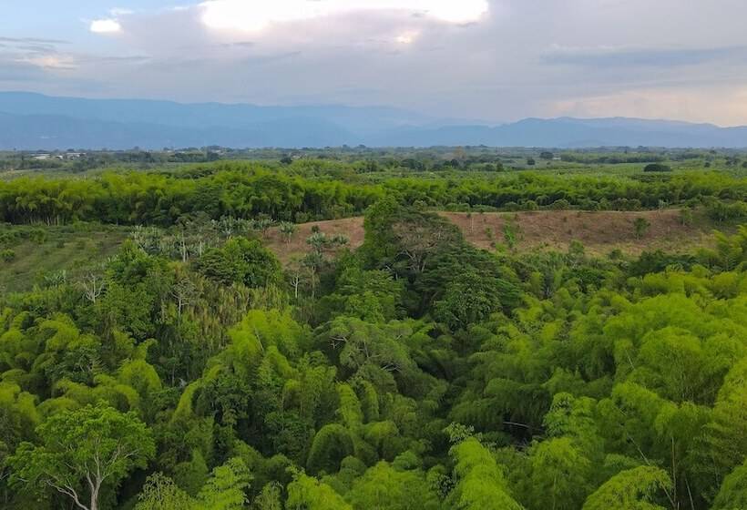 酒店 Palta Eco Haven