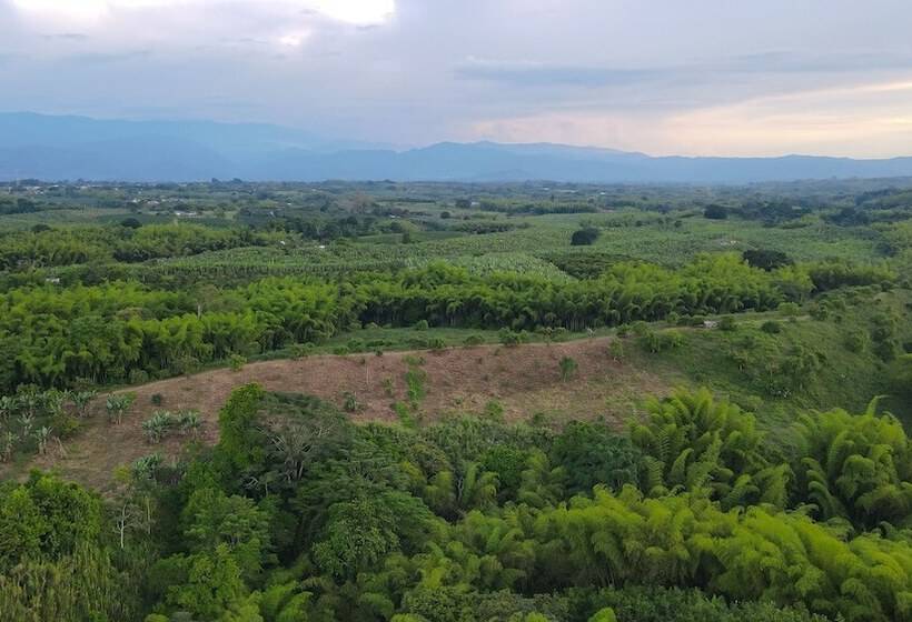 酒店 Palta Eco Haven