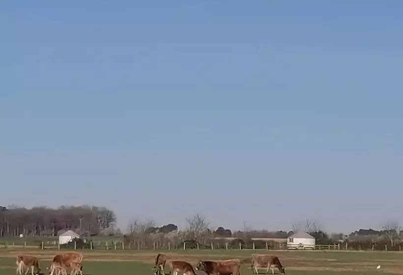 Maaseutuhotelli Ferme Du Caroire