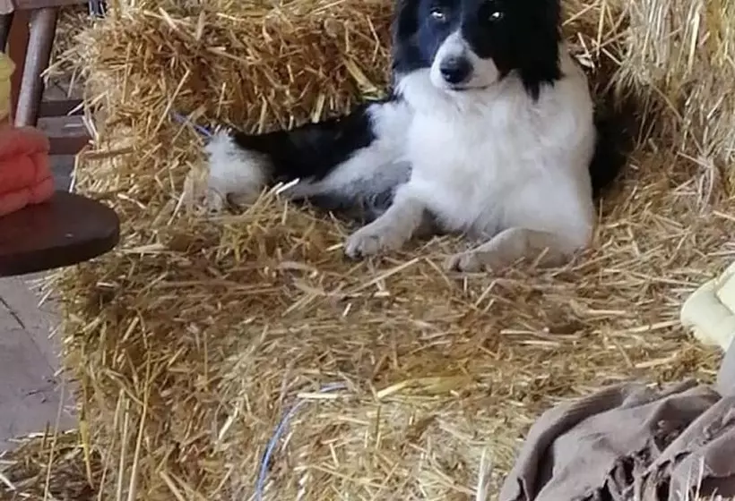 Maaseutuhotelli Ferme Du Caroire