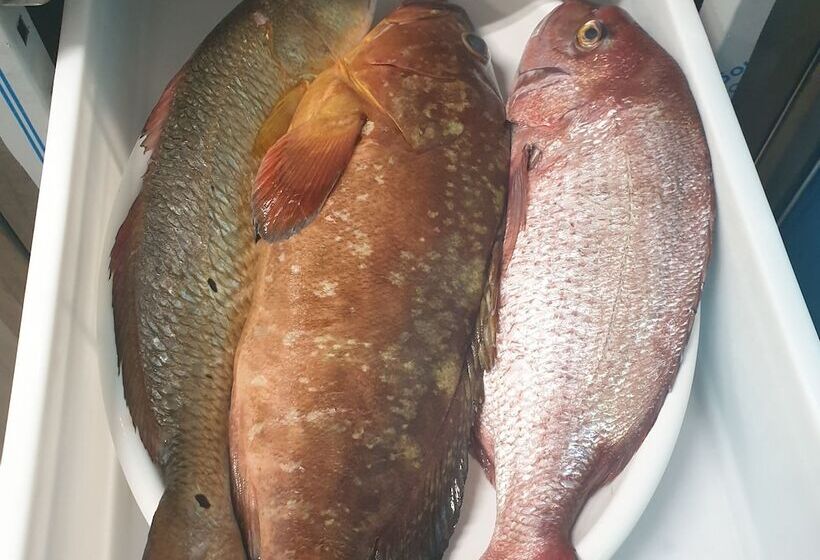 בית מלון כפרי Villaggio Le Palatine