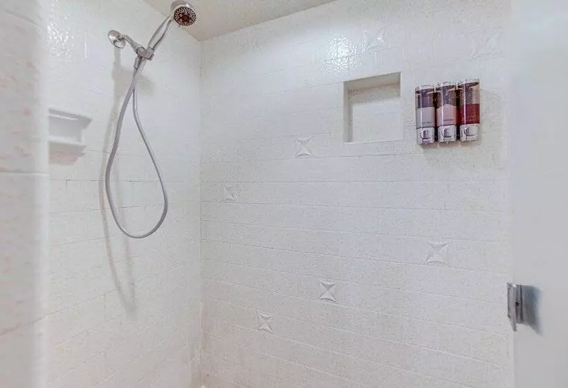 Idaho Vacation Rental: Day Trip To Yellowstone!