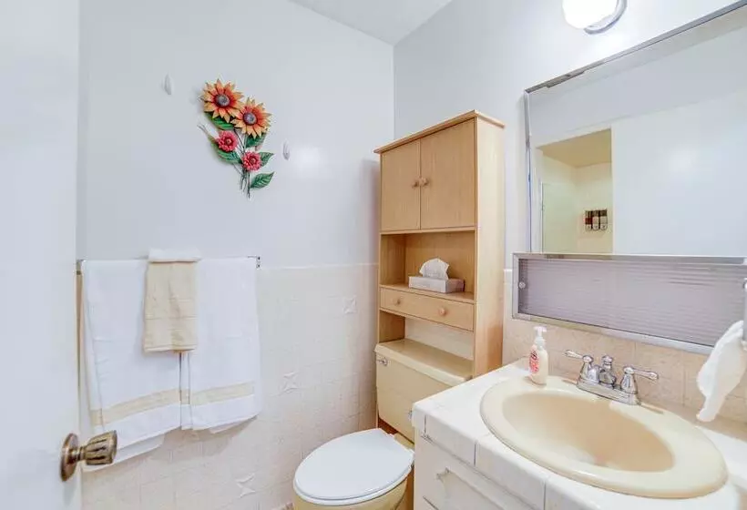 Idaho Vacation Rental: Day Trip To Yellowstone!