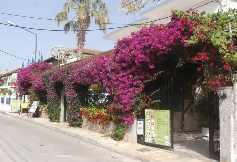 Majatalo Harry's Bar & Apartments