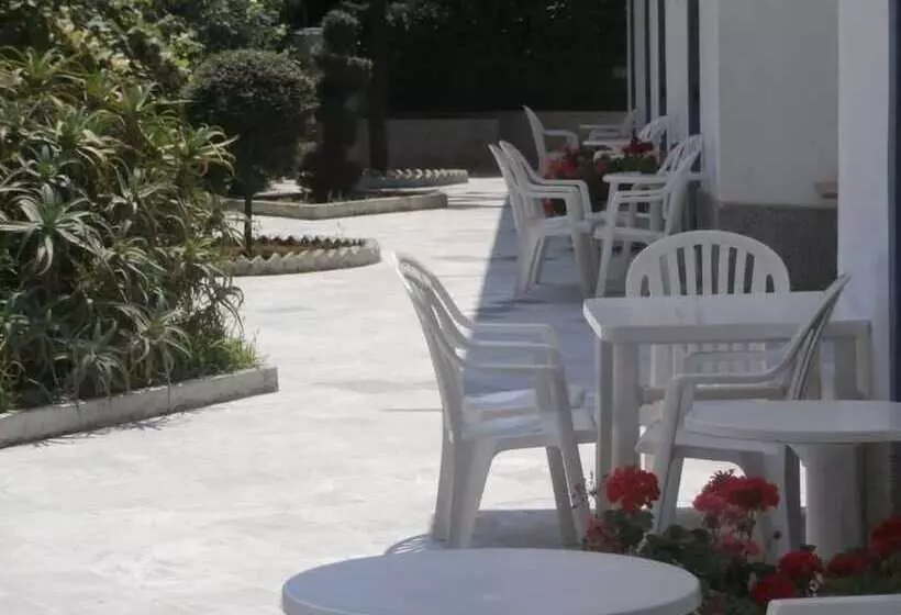 Majatalo Harry's Bar & Apartments