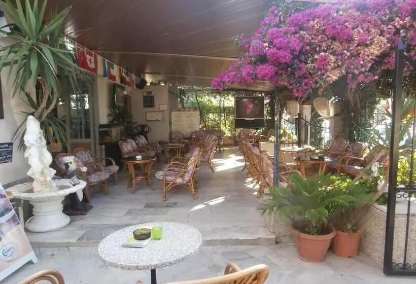 Majatalo Harry's Bar & Apartments