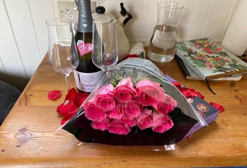 Shepherd Hut Glamping In Northumberland