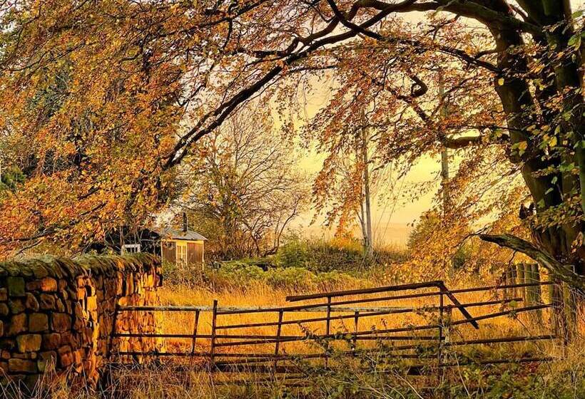 Shepherd Hut Glamping In Northumberland