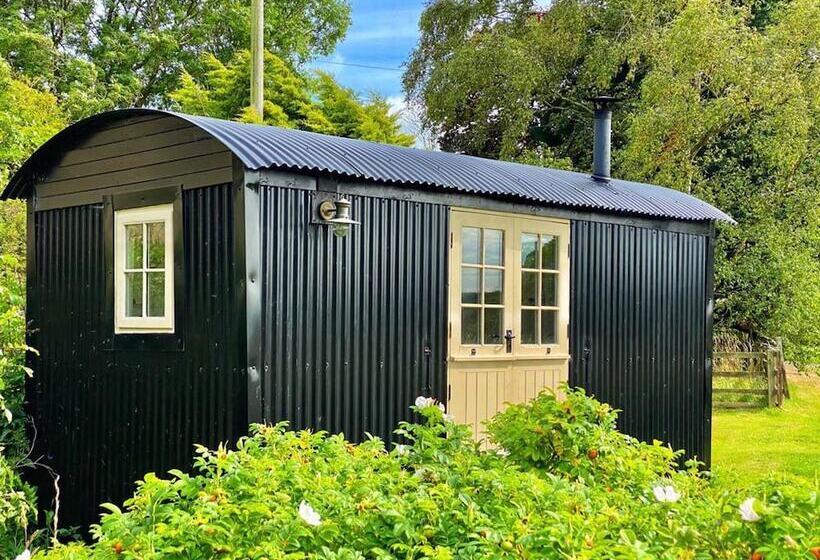 Shepherd Hut Glamping In Northumberland