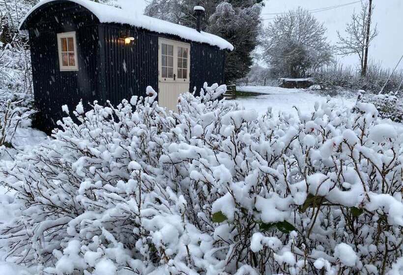 Shepherd Hut Glamping In Northumberland