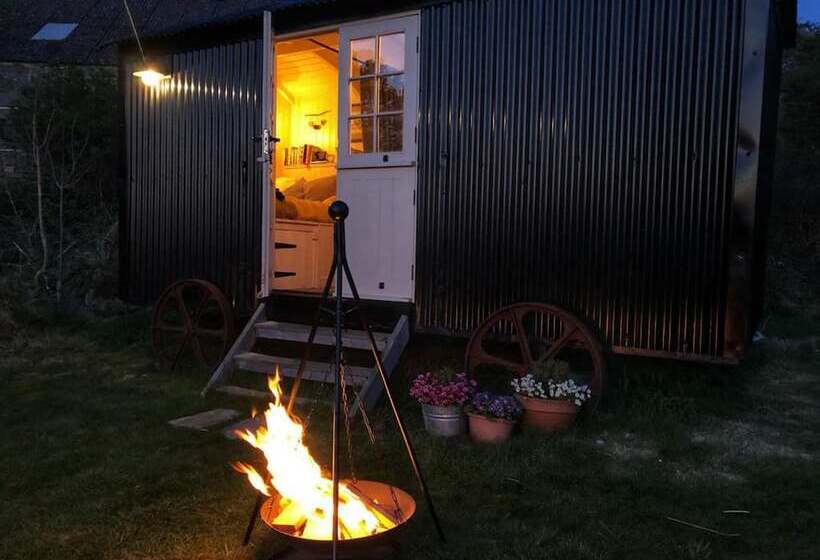 Shepherd Hut Glamping In Northumberland