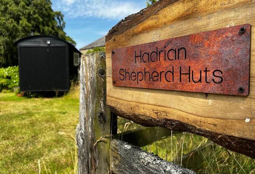 Shepherd Hut Glamping In Northumberland