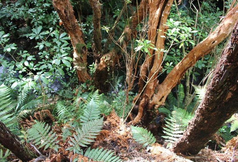 Bed and Breakfast Akaroa Fyrnebrooke House