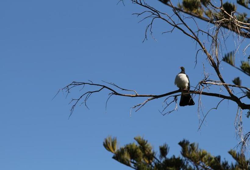 Bed and Breakfast Akaroa Fyrnebrooke House