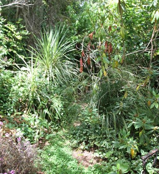 Bed and Breakfast Akaroa Fyrnebrooke House