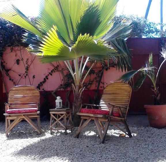 تختخواب و صبحانه Baobab Belge