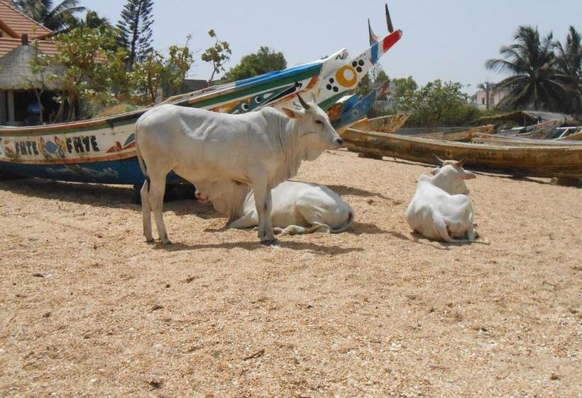 تختخواب و صبحانه Baobab Belge