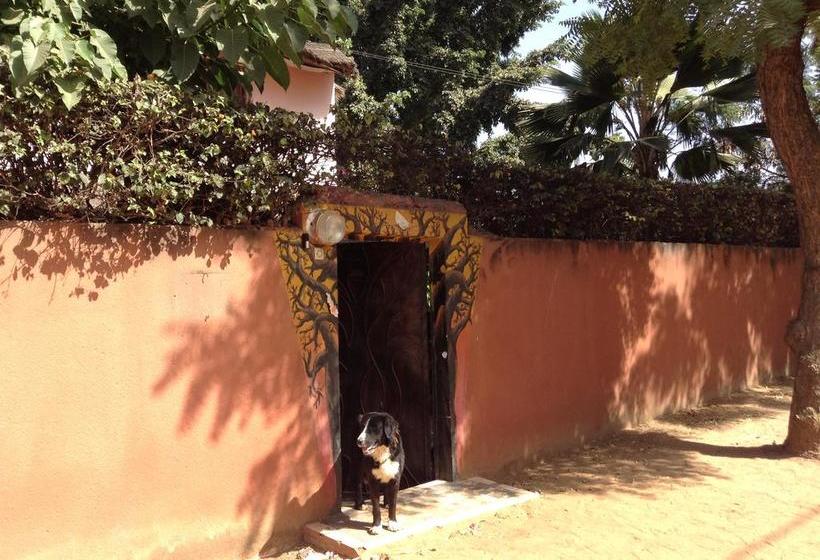 تختخواب و صبحانه Baobab Belge