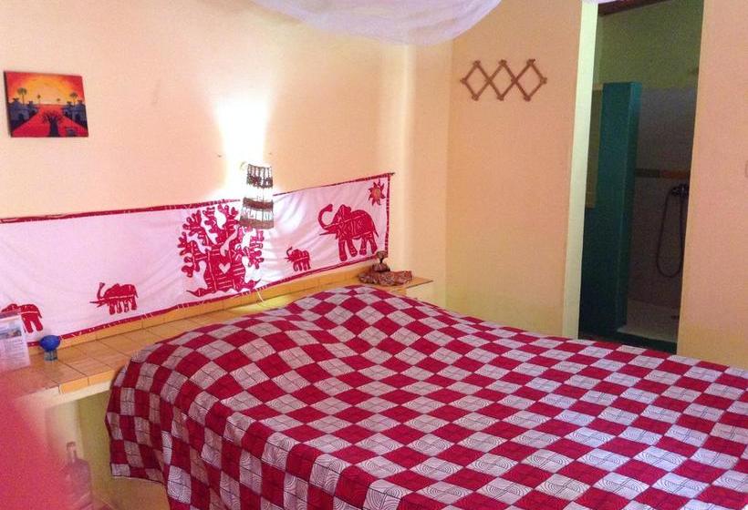 تختخواب و صبحانه Baobab Belge