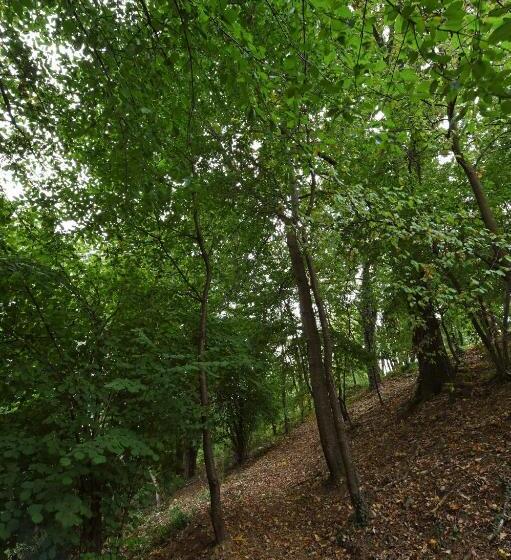 مبيت وإفطار Villa Durando