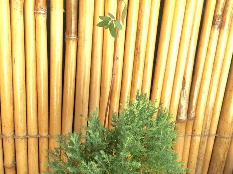 Gästgiveri Casa De Estefania