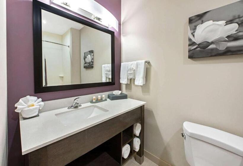 酒店 La Quinta By Wyndham Lake Charles Westlake