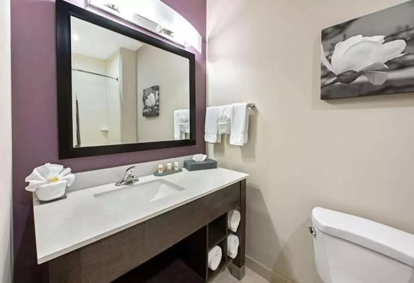 ホテル La Quinta By Wyndham Lake Charles   Westlake